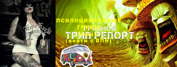 кристаллы Абаза